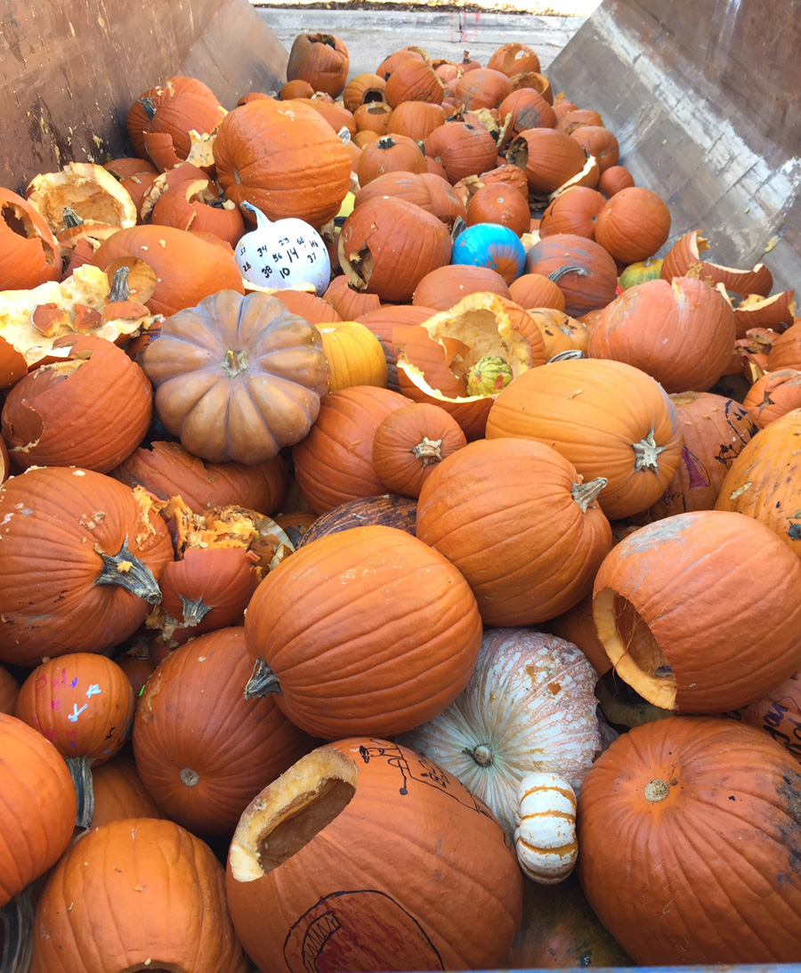 Pumpkin Composting 10 resized