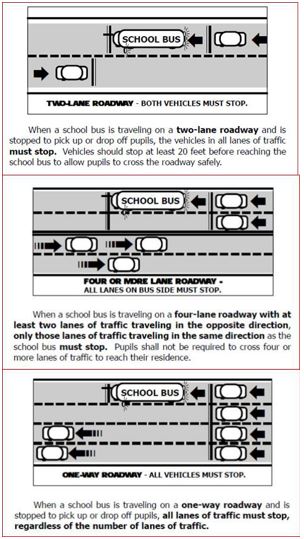 school bus laws illustration