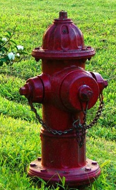 hydrant2 cropped