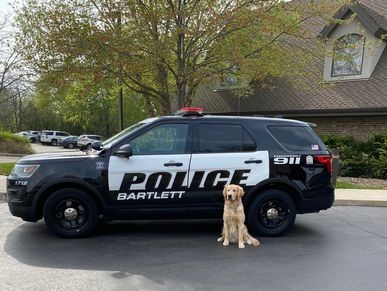 Bartlett Police facility dog Maverick with squad July2021