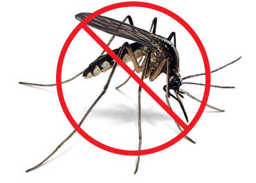 no_mosquito